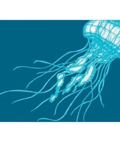 Cream Cornwall Wall Decor Jellyfish Art Print In Turquoise And Blue In Three Sizes - A2, A3 And A4