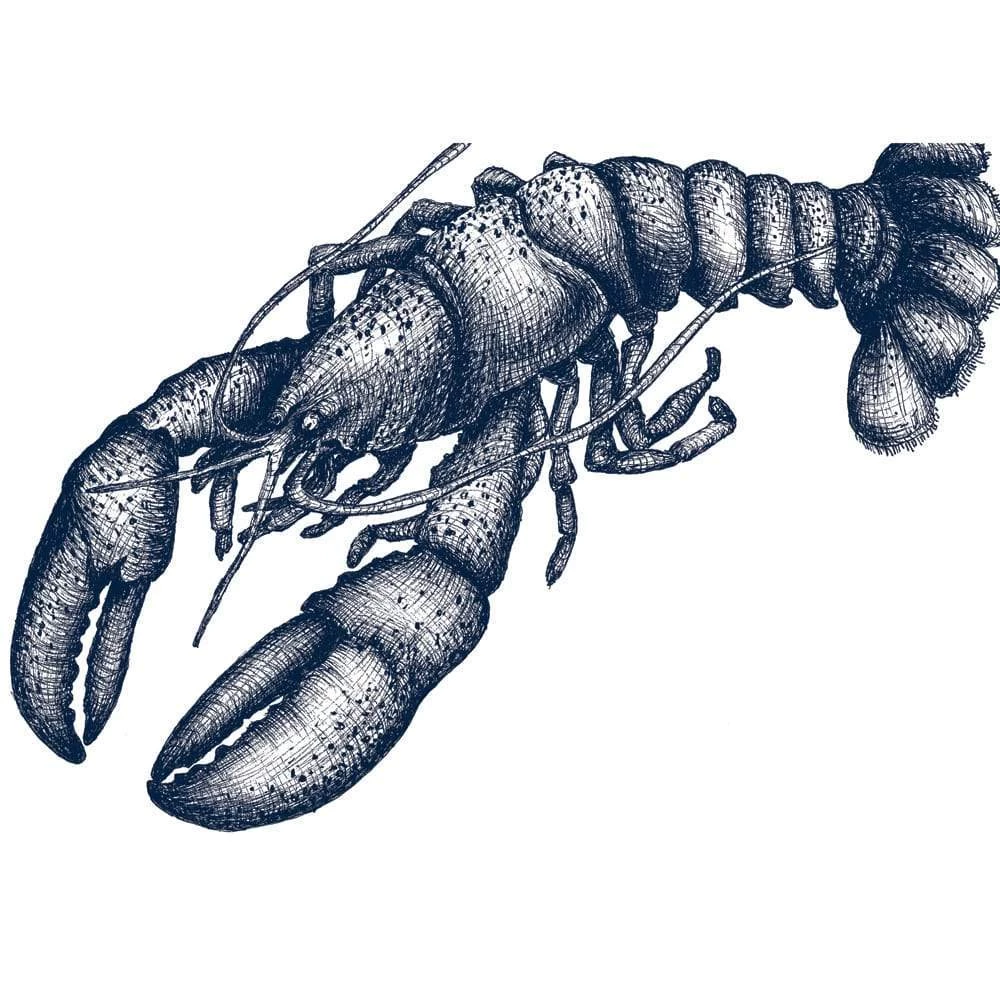 Cream Cornwall Lobster Art Print In Blue On White In Three Sizes - A2, A3 And A4 1 Cream Cornwall Lobster Art Print In Blue On White In Three Sizes - A2, A3 And A4