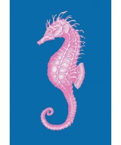 Cream Cornwall Wall Decor Seahorse Art Print In Bright Blue And Pink In Three Sizes - A2, A3 And A4