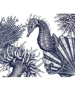 Cream Cornwall Seahorse Scene Art Print In Blue On White In Three Sizes - - A2, A3 And A4 Wall Decor