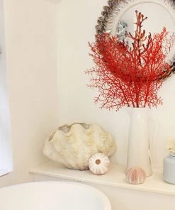 Coach House Aqua Ceramic Jar With Reef Top 8 Coach House Aqua Ceramic Jar With Reef Top