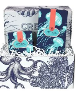 Cream Cornwall Gifting Fistral Candle & Diffuser Luxury Hamper