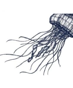 Cream Cornwall Wall Decor Jellyfish Art Print In Blue On White In Three Sizes - A2, A3 And A4