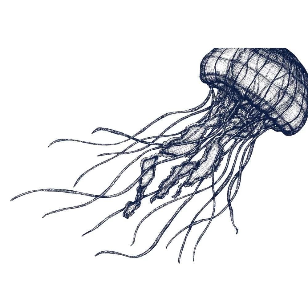 Cream Cornwall Wall Decor Jellyfish Art Print In Blue On White In Three Sizes - A2, A3 And A4 1 Cream Cornwall Wall Decor Jellyfish Art Print In Blue On White In Three Sizes - A2, A3 And A4