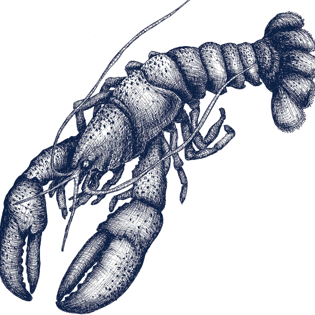 Magic Textiles Kitchen & Dining Lobster Napkin On Off White Organic Linen 1 Magic Textiles Kitchen & Dining Lobster Napkin On Off White Organic Linen