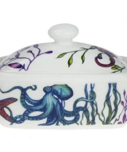 Fegg Hayes Kitchen & Dining Bone China Reef Butter Dish