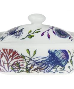 Fegg Hayes Kitchen & Dining Bone China Reef Butter Dish