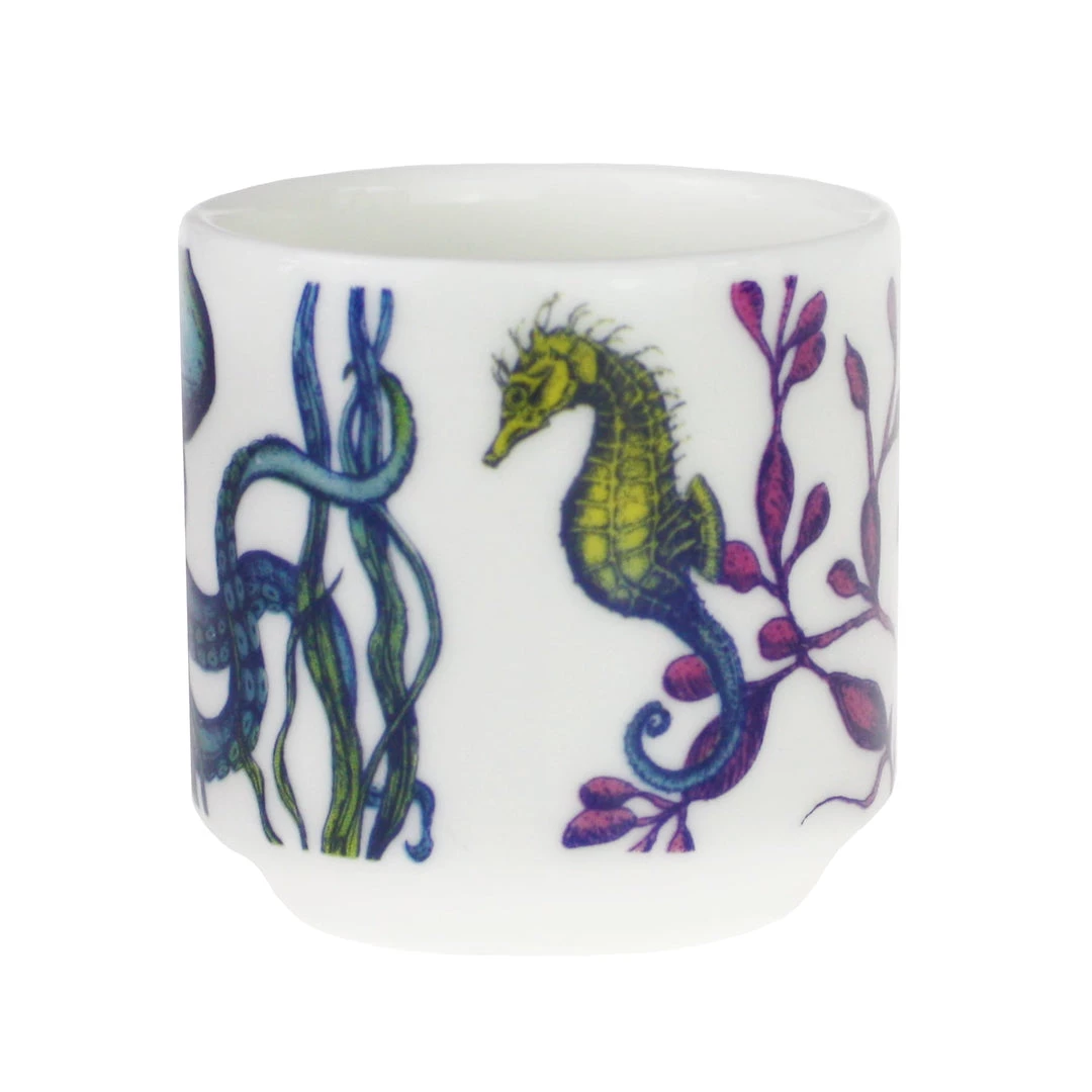 Fegg Hayes Bone China Reef Egg Cup - Jellyfish Kitchen & Dining 2 Fegg Hayes Bone China Reef Egg Cup - Jellyfish Kitchen & Dining