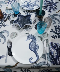 Aveiro Kitchen & Dining Starfish Dish