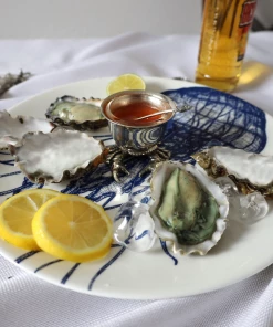Fegg Hayes Large Bone China Jellyfish Dinner Plate