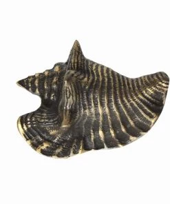 Cream Cornwall Hardware Large Brass Conch Shell Decorative Handle