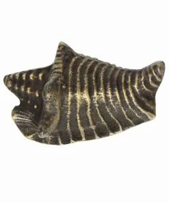 Cream Cornwall Brass Conch Shell Decorative Handle - Small Hardware