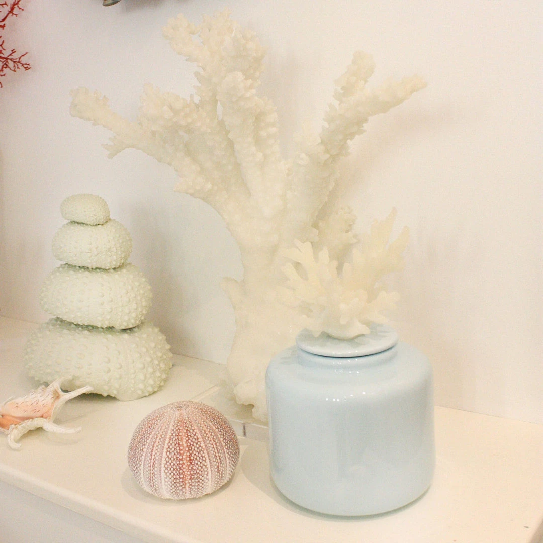 Coach House Aqua Ceramic Jar With Reef Top 5 Coach House Aqua Ceramic Jar With Reef Top