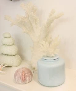 Coach House Tall White Resin Reef Branch Decorative