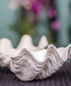 Coach House Large Clam Shell Tablescaping