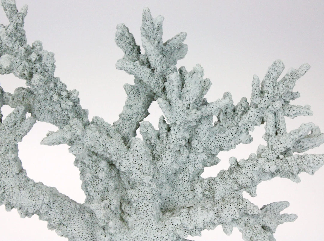 Coach House Pale Blue Resin Reef Branch Decorative 3 Coach House Pale Blue Resin Reef Branch Decorative