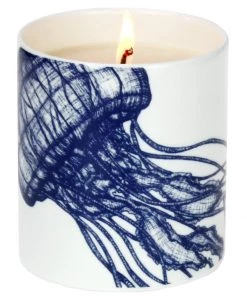 Cream Cornwall Gifting Fistral Candle & Diffuser Luxury Hamper