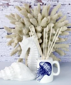 Fegg Hayes Accessories Fistral Reed Diffuser