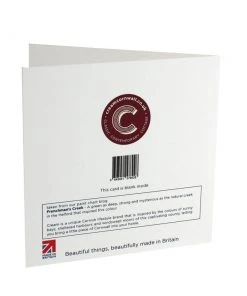 Skeet Print Stationery Frenchman's Creek Card