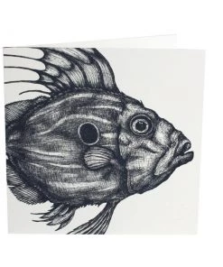 Skeet Print John Dory Card