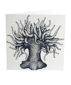 Skeet Print Sea Anemone Card Stationery