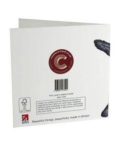 Skeet Print Star Fish Card Stationery