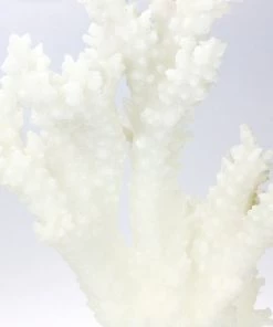 Coach House Tall White Resin Reef Branch Decorative