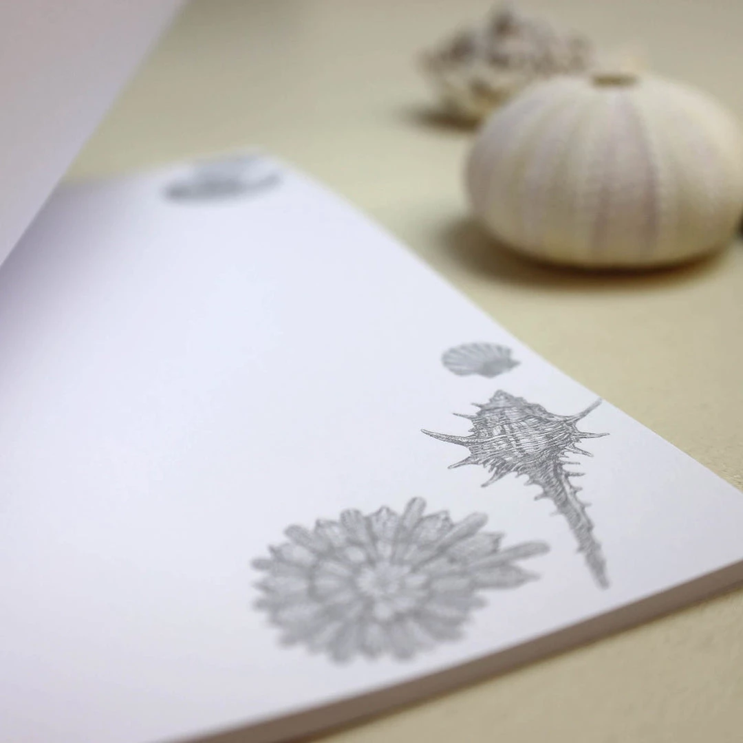 Skeet Print Stationery Shell Seeker Notebook 3 Skeet Print Stationery Shell Seeker Notebook