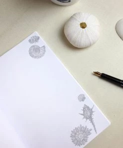 Skeet Print Stationery Shell Seeker Notebook 8 Skeet Print Stationery Shell Seeker Notebook