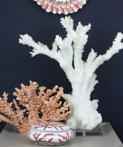 Coach House Tall White Resin Reef Branch Decorative