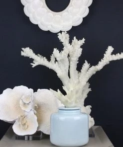 Coach House Aqua Ceramic Jar With Reef Top