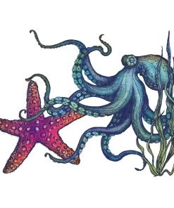 Cream Cornwall Rainbow Reef White Art Print In Three Sizes