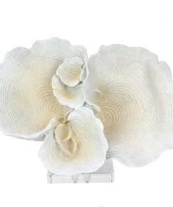 Coach House Resin Oyster Reef On Acrylic Plinth Decorative