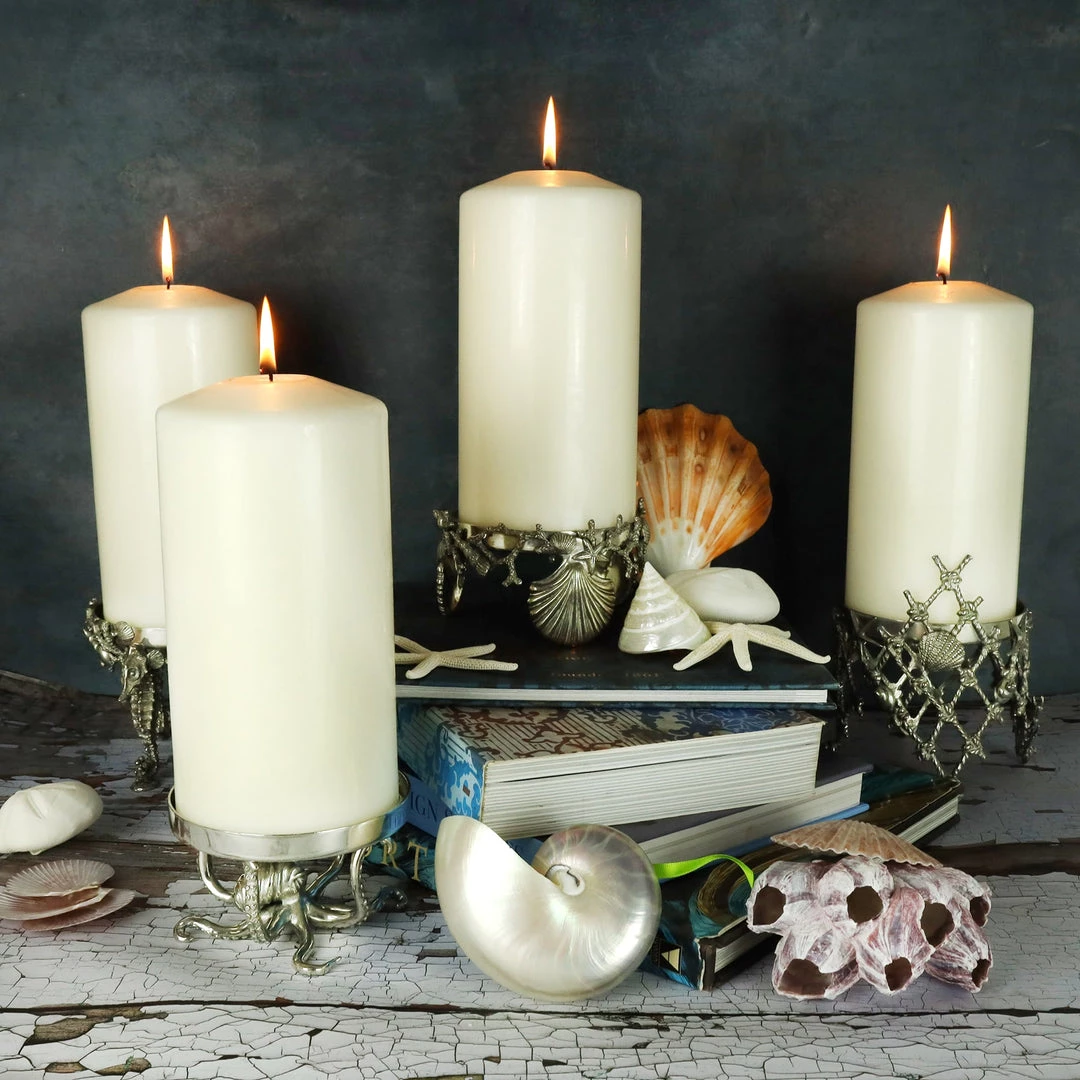 Detail Products Pewter Shell & Coral Candle Holder New Arrivals 5 Detail Products Pewter Shell & Coral Candle Holder New Arrivals