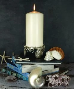 Detail Products Pewter Shell & Coral Candle Holder New Arrivals 8 Detail Products Pewter Shell & Coral Candle Holder New Arrivals