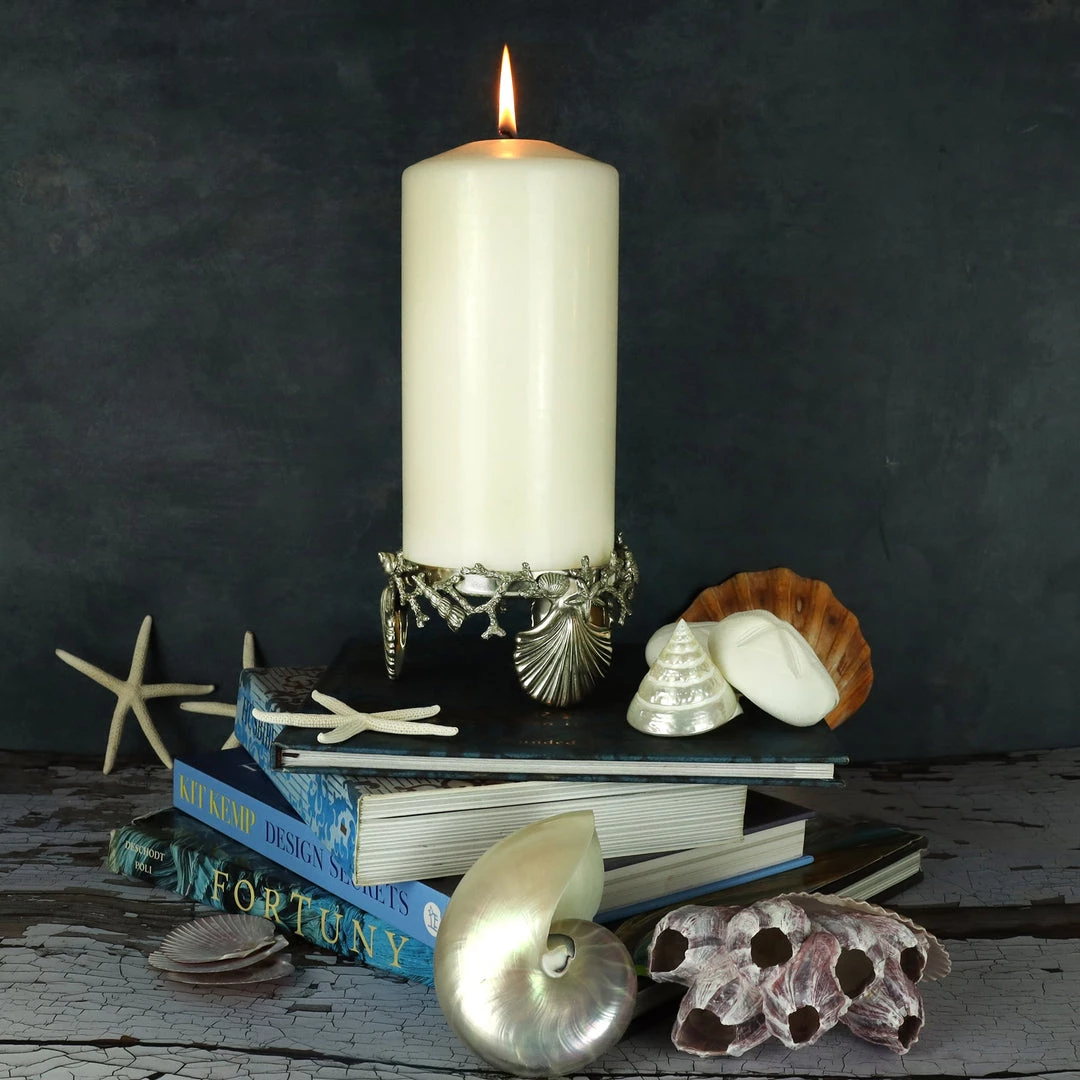 Detail Products Pewter Shell & Coral Candle Holder New Arrivals 4 Detail Products Pewter Shell & Coral Candle Holder New Arrivals