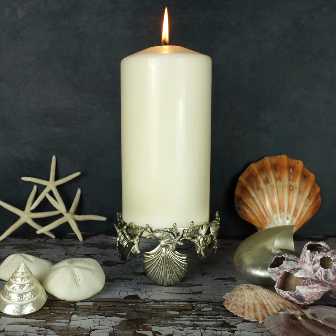 Detail Products Pewter Shell & Coral Candle Holder New Arrivals 2 Detail Products Pewter Shell & Coral Candle Holder New Arrivals
