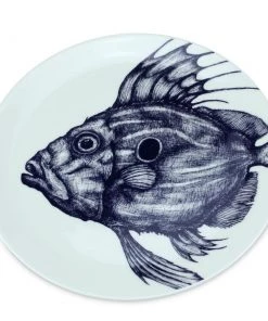 Fegg Hayes Kitchen & Dining Bone China John Dory Dinner Plate