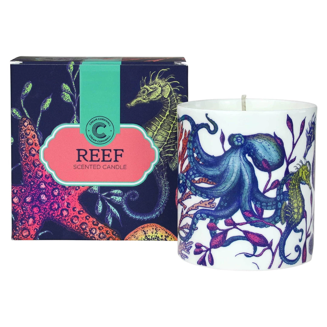 Cream Cornwall Bone China Reef Candle 2 Cream Cornwall Bone China Reef Candle