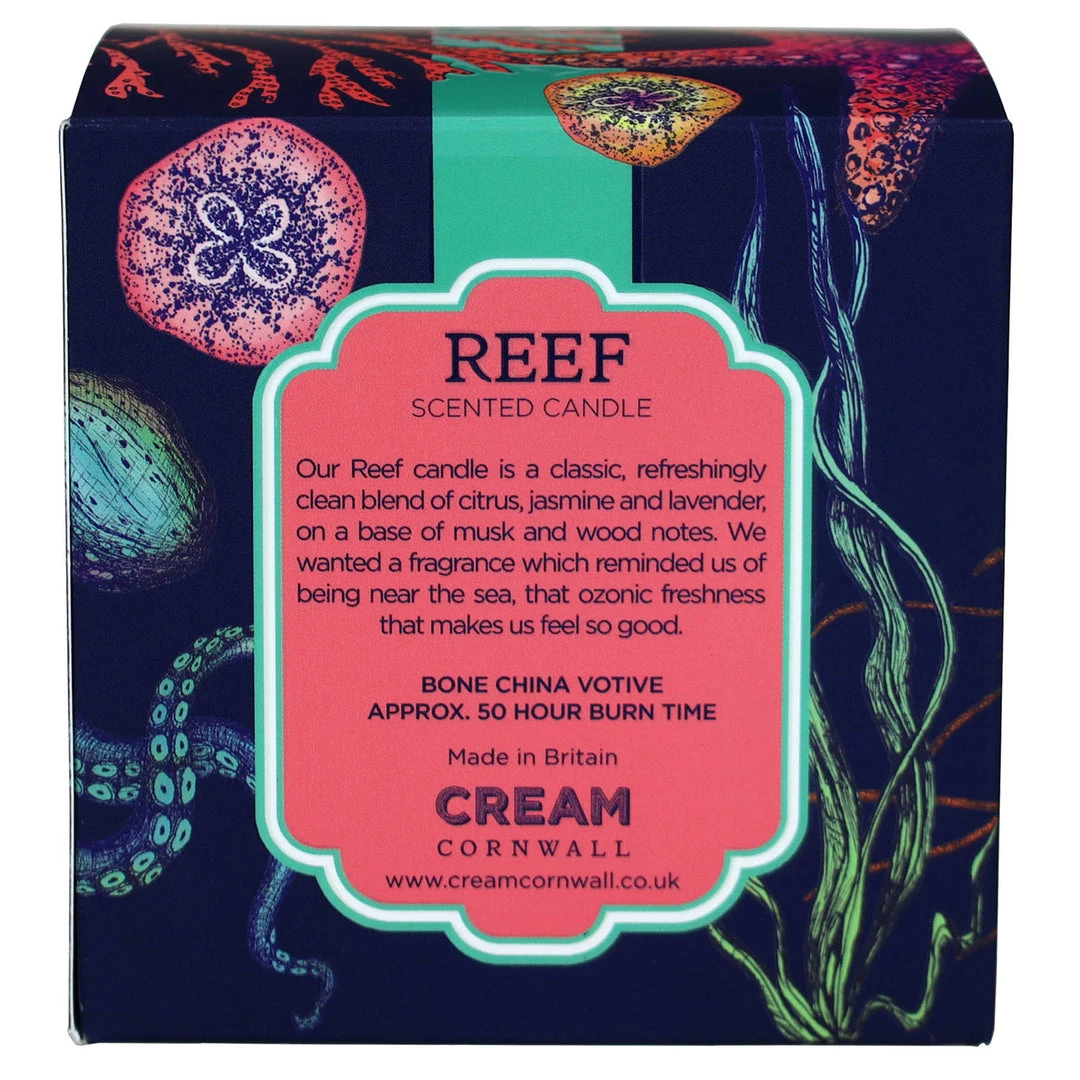 Cream Cornwall Bone China Reef Candle 6 Cream Cornwall Bone China Reef Candle