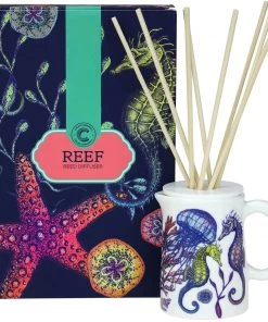 Fegg Hayes Accessories Reef Reed Diffuser