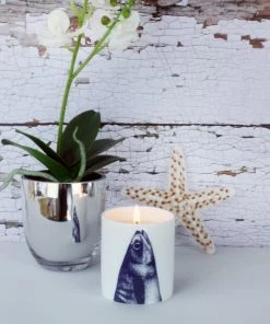 Fegg Hayes Stargazey Candle Accessories