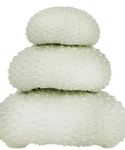 Coach House Large Faux Sea Urchin