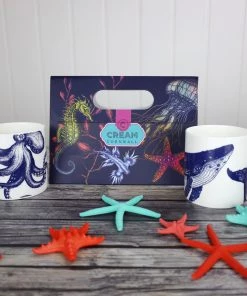 Cream Cornwall Small Gift Bag New Arrivals