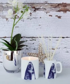 Fegg Hayes Accessories Stargazey Reed Diffuser