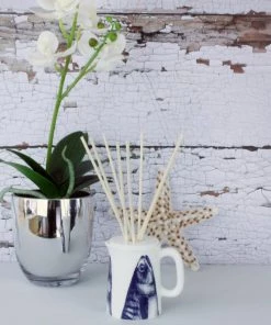 Fegg Hayes Accessories Stargazey Reed Diffuser