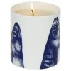 Fegg Hayes Stargazey Candle Accessories