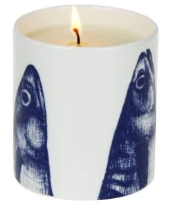 Fegg Hayes Stargazey Candle Accessories